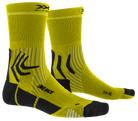 old,#color_phyton-yellow-black-eat-dust