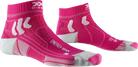 old,#color_flamingo-pink-arctic-white