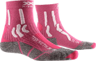 old,#color_flamingo-pink-arctic-white